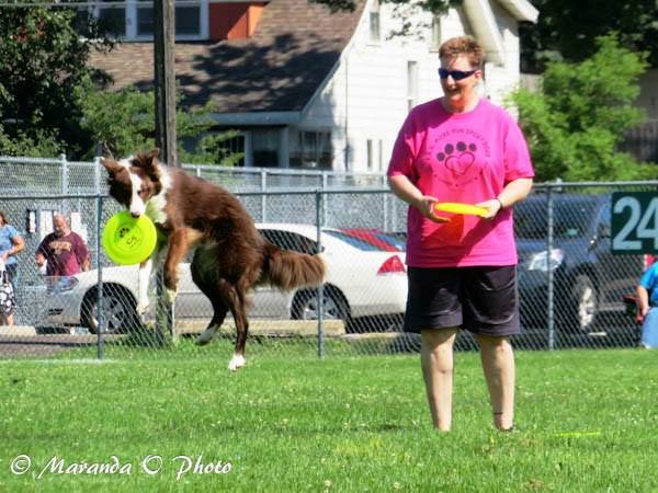 Disc Dog